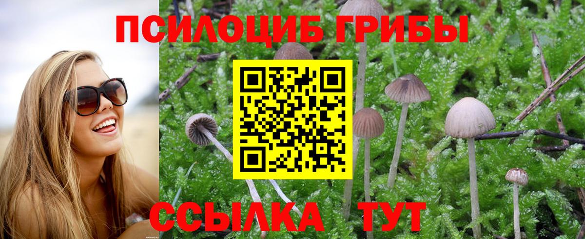 Псилоцибиновые грибы мицелий Россия