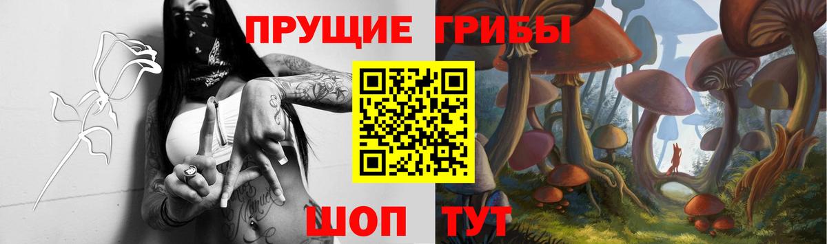 Галлюциногенные грибы GOLDEN TEACHER  Вход с VPN  наркота  Россия 
